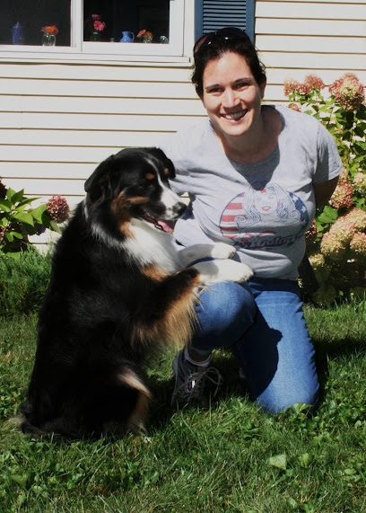 Look Ma, No Paws Dog Training