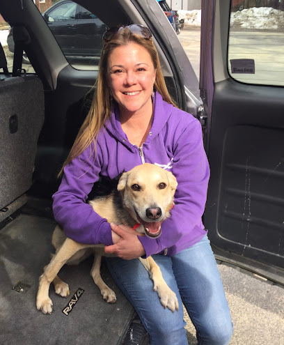 The Balanced Pack Dog Training