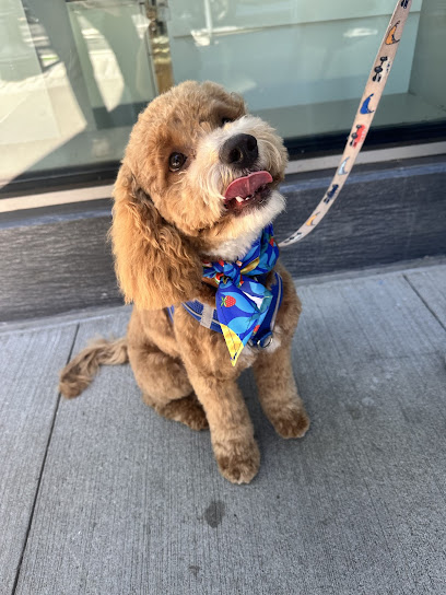 Petiquette Boutique and Spa