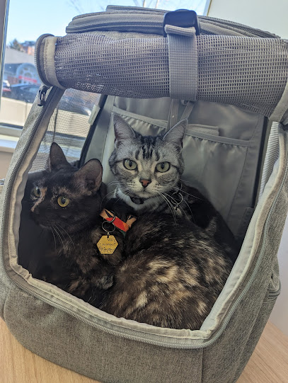 Boston Veterinary Clinic