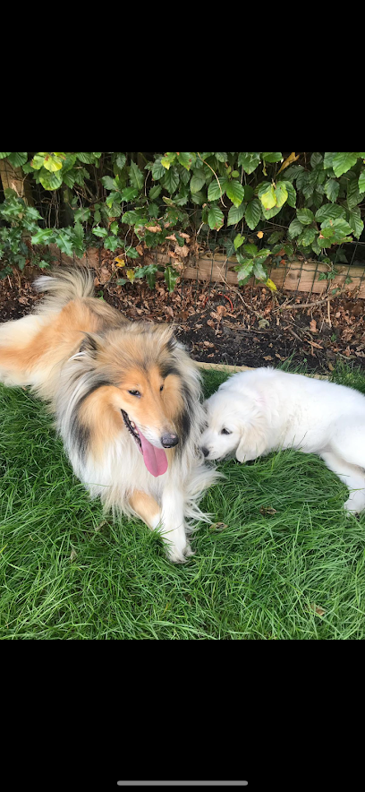 Fuzzy friends retreat