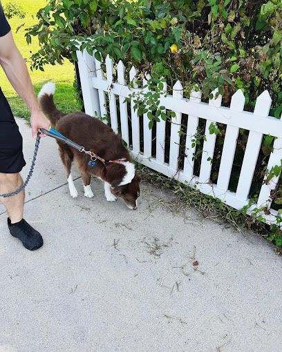 Dani's Pet Care, LLC