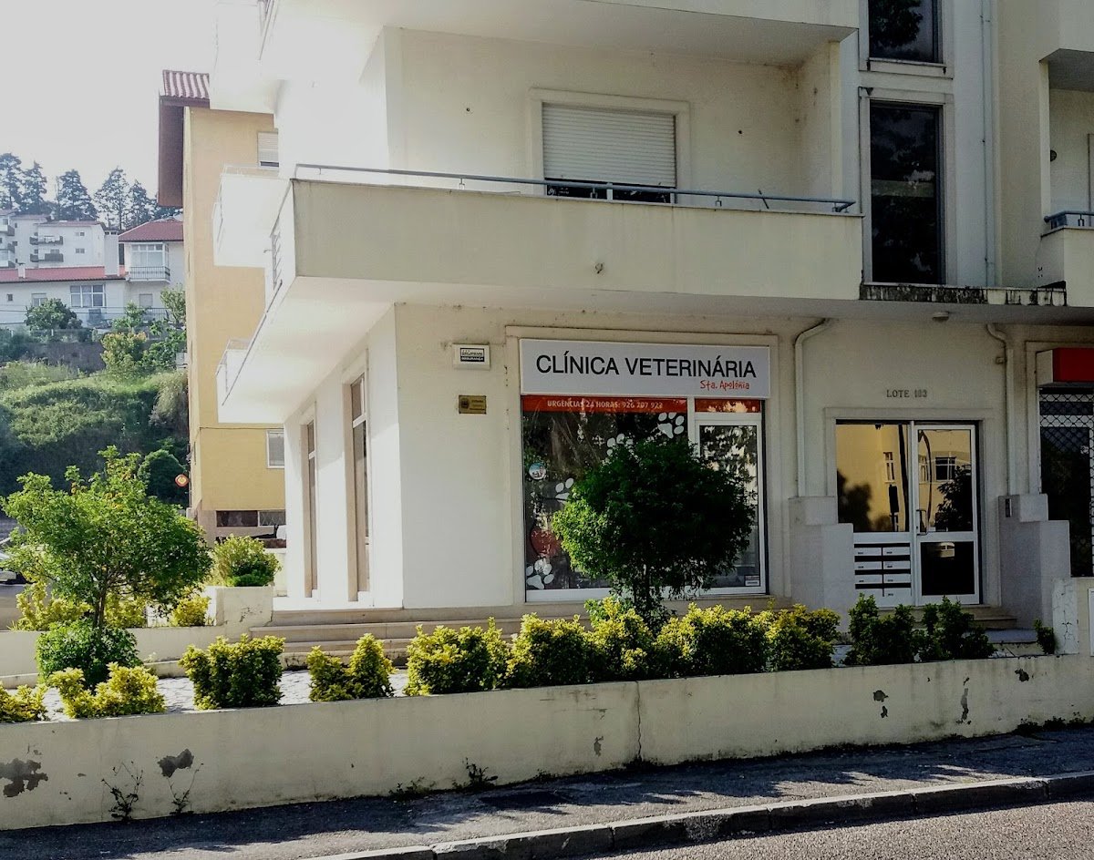Clinica Veterinária de Santa Apolónia