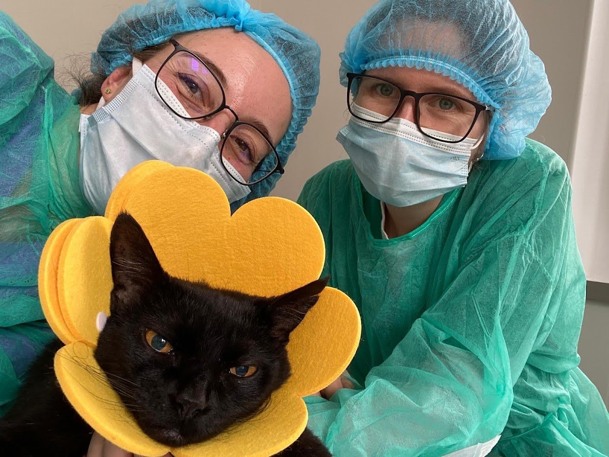 CLÍNICA VETERINÁRIA DA LOUSÃ-CVL SOC. UNIP. LDA.