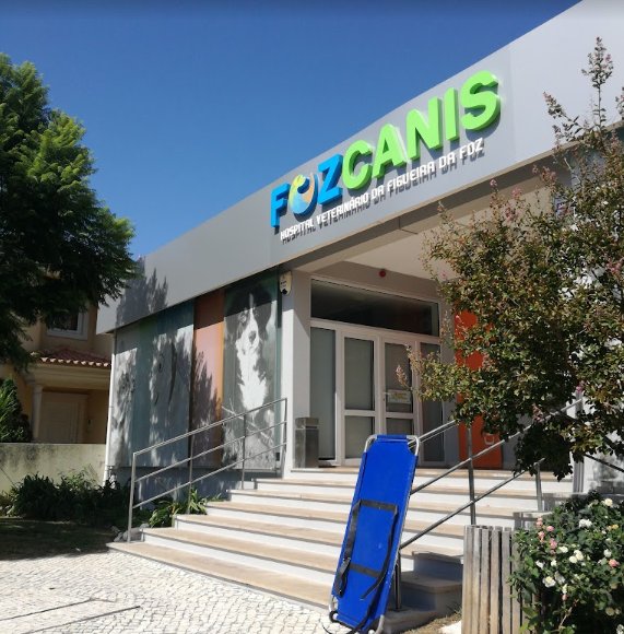 Fozcanis-hospital Veterinário Da Figueira Da Foz Lda