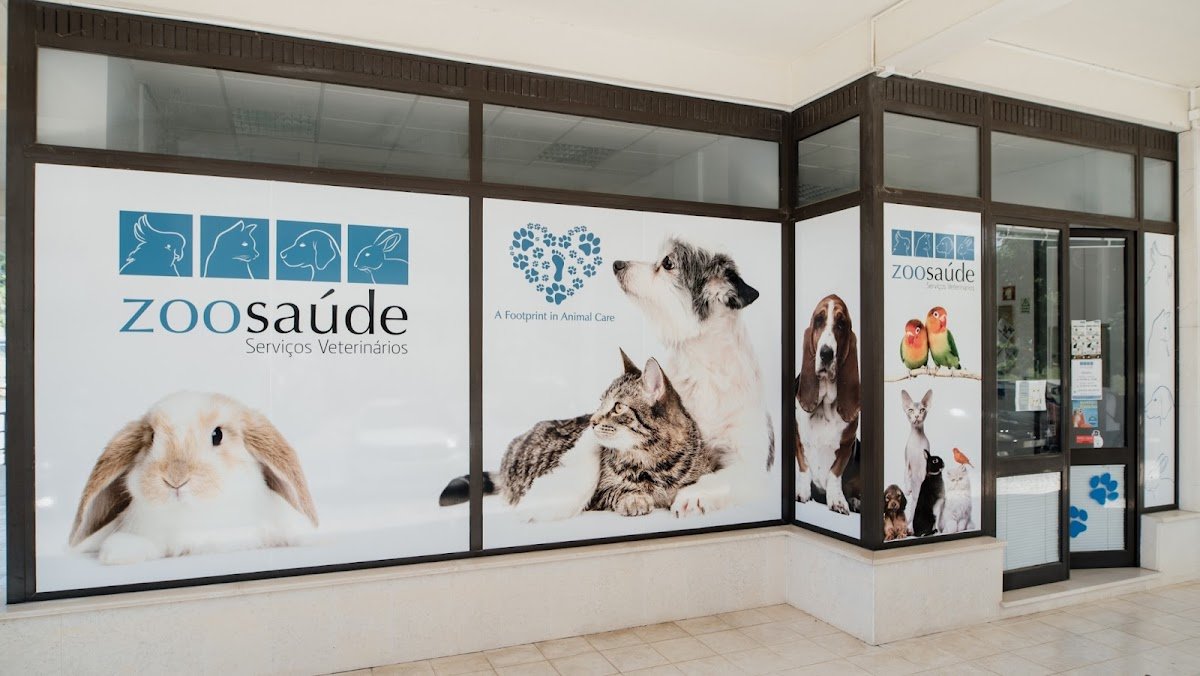 Zoosaúde Miranda do Corvo