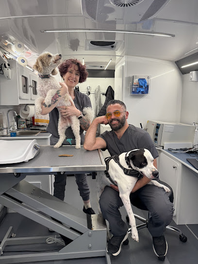 Tandem Veterinary Clinic - East Boston