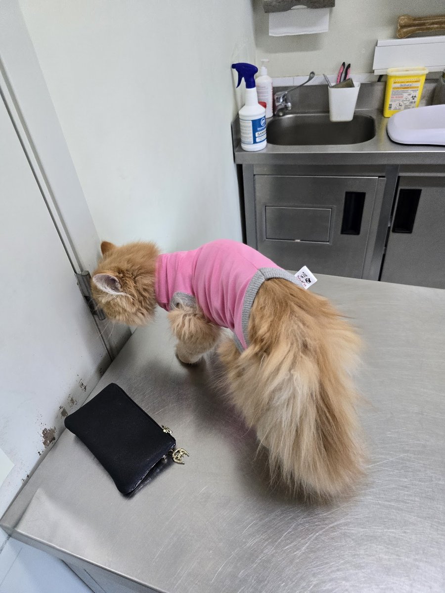 VETREDONDO - CONSULTÓRIO VETERINÁRIO DE MONTE REDONDO, UNIPESSOAL, LDA