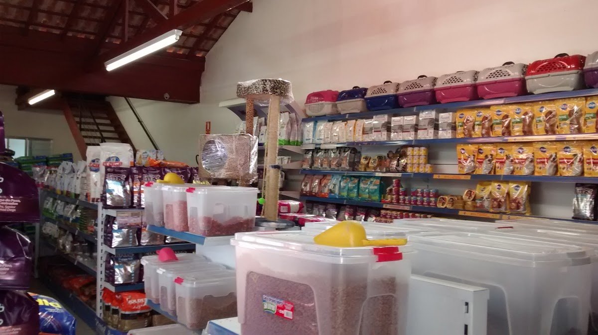 Veterinária Terrier