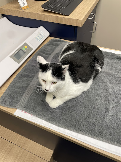 Boston Veterinary Clinic