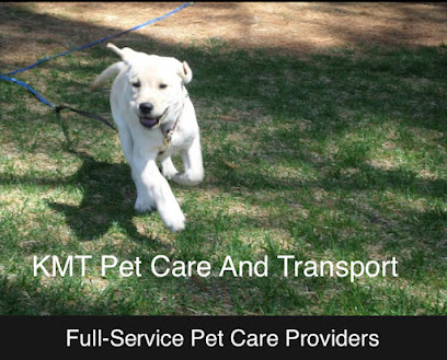 KMT Pet Care And Transport Dog Walker, Dog Sitter, Pet Sitting, Cat Care and Pet Taxi Services