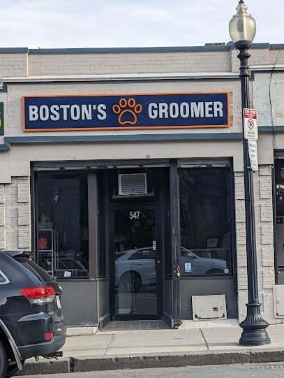 Boston's Groomer