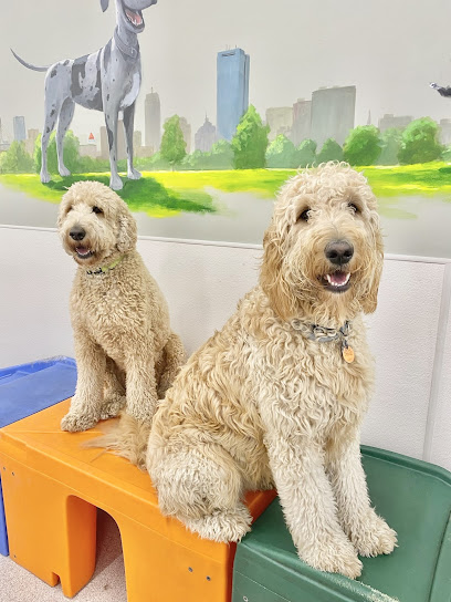 Red Dog Pet Resort & Spa at North Station