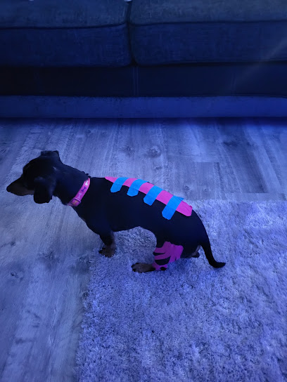 Pet Therapy Veterinary Rehabilitation & Sports Medicine Clinic