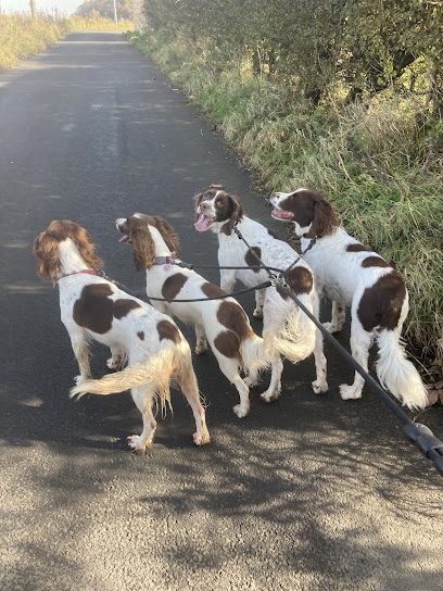 Paws Up Pet Services