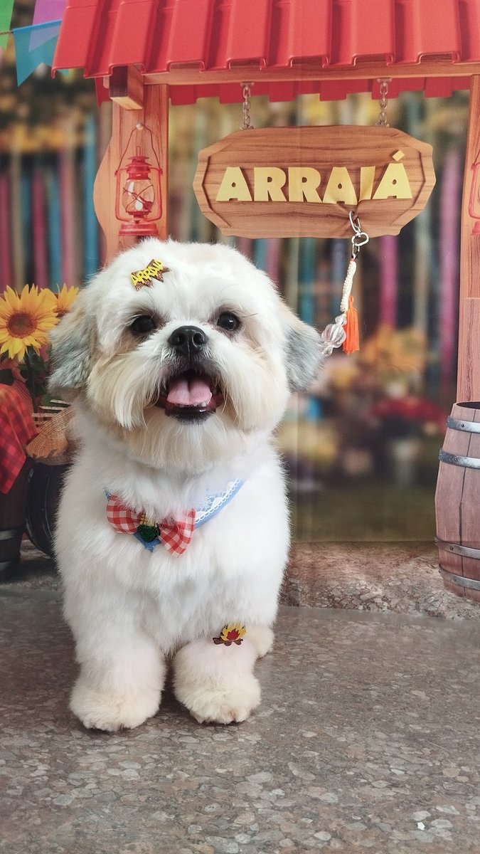 CLÍNICA VETERINÁRIA PENÉLOPE