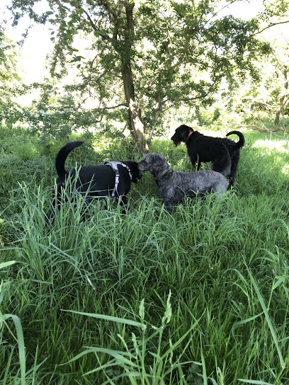 It’s A Pup’s Life