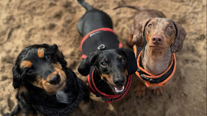 Winnie & Co Dog Walking