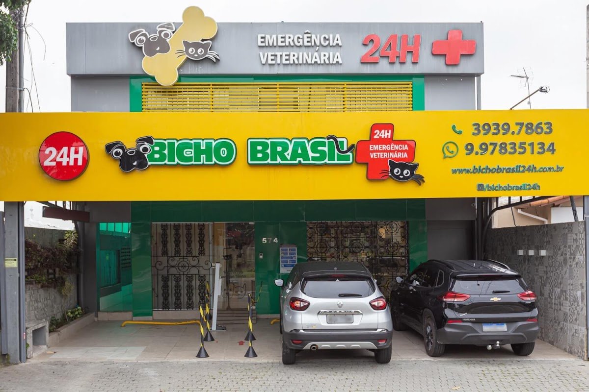 Clinica Veterinaria 24 hrs Bicho Brasil