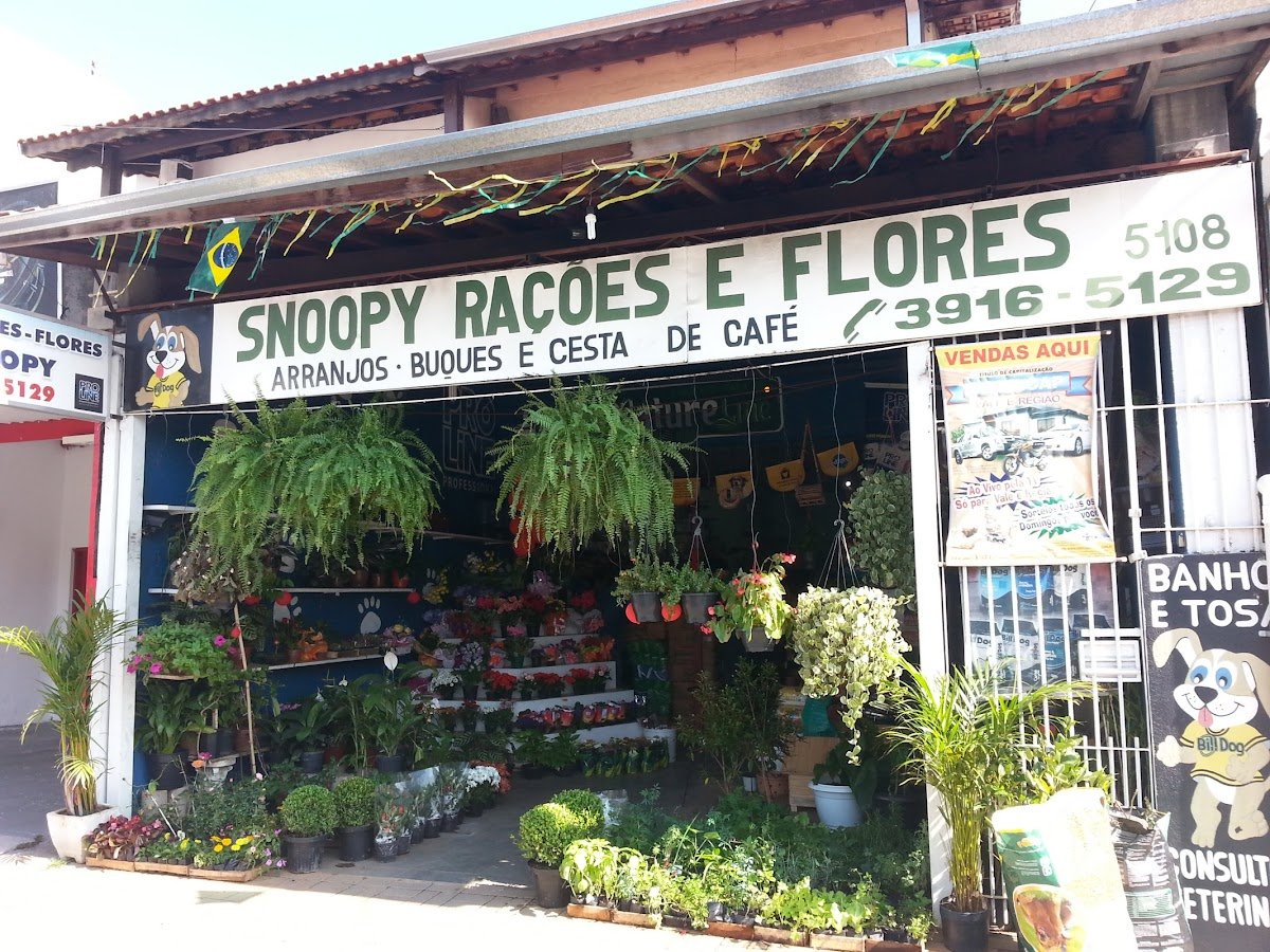 Snoopy Feed and Flowers