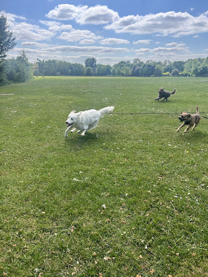 Mucky Mutts Merseyside