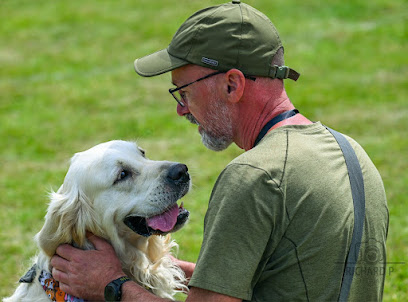 Trotters Puppy Development