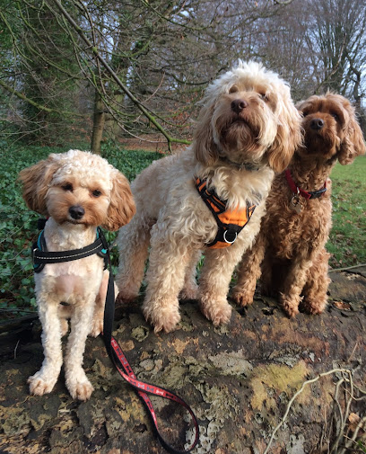 Liverpool Animal Minding