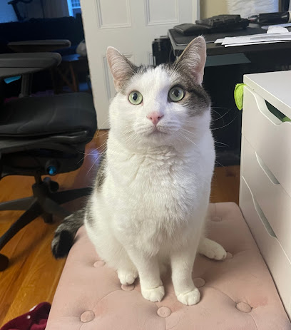 BluePearl Pet Hospital