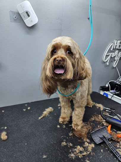 Hello Gorgeous Mobile Dog Spa llc