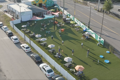 Urban Dog Bar