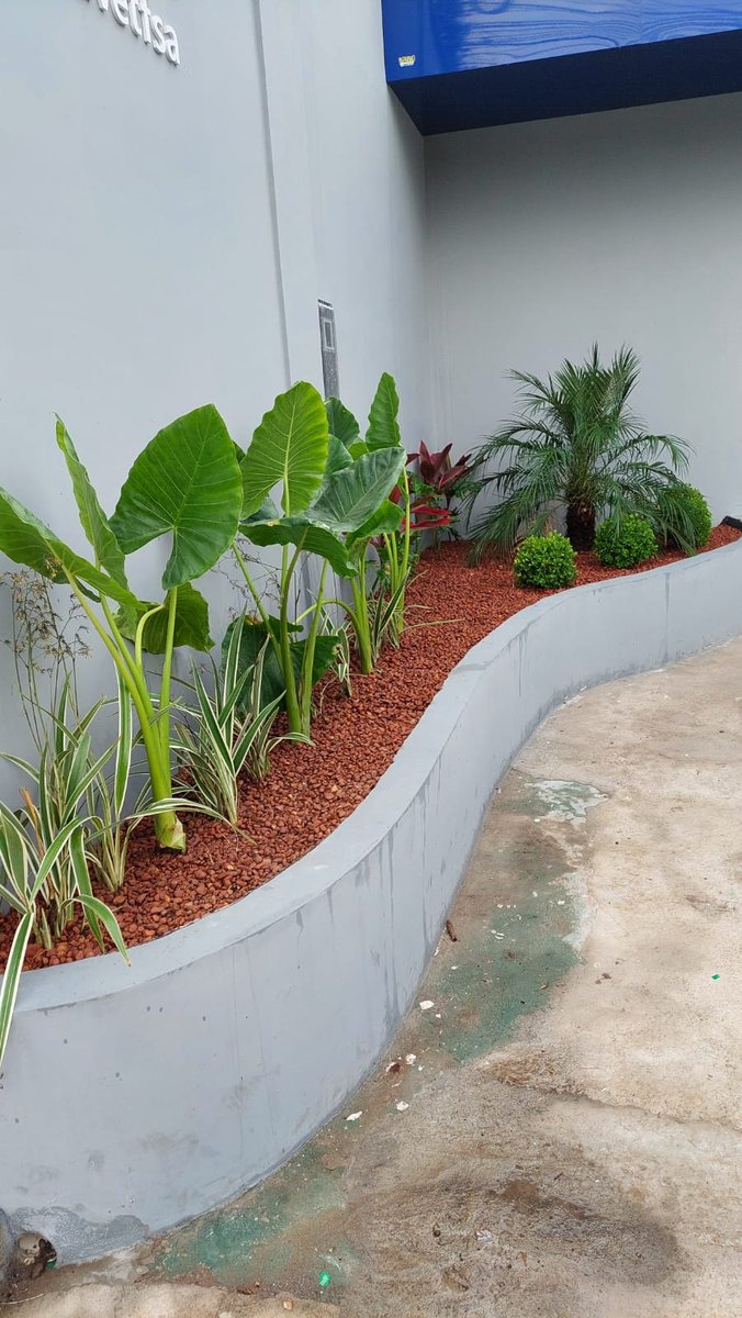 Vet World Nacional Veterinária