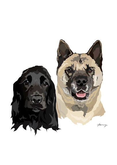 Fraser&pooch dog groomers liverpool