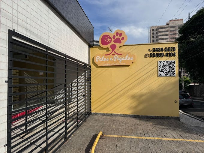 Patas e Pegadas