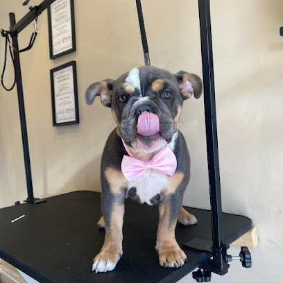 Dog grooming (Paws Up)