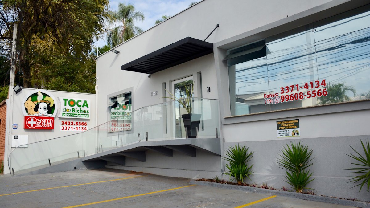 Pet Shop Comida de Bicho