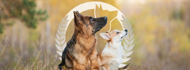 Dog Training Elite Brentwood