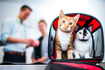 Rowe Vet Group – Winterbourne