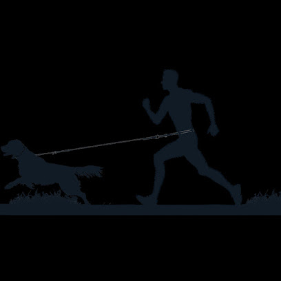 Jog a Doggy Bristol Dog Walking & Running