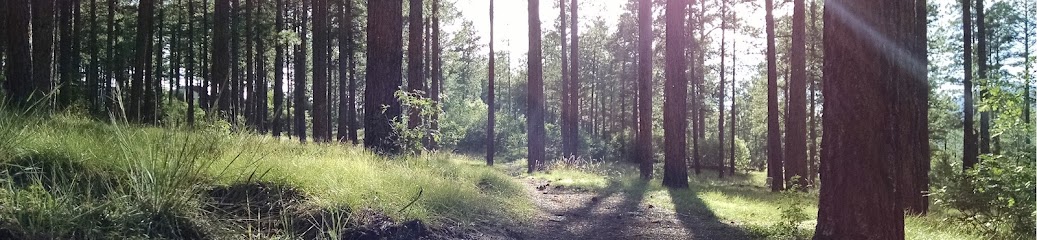 Greenacres Dog Boarding