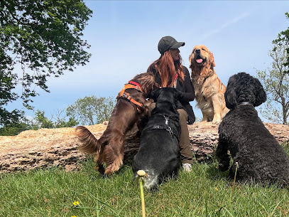 Buddy's Dog Services