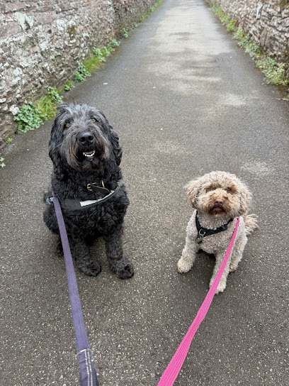 Jebel Dogs - K9 Services