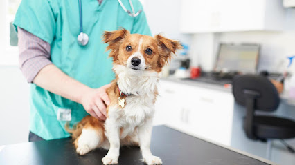 Highcroft Veterinary Centre - Ashton