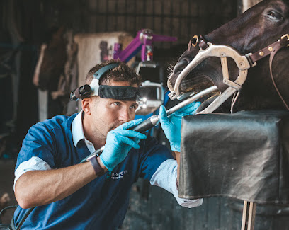 Bescoby Equine Dental Vets