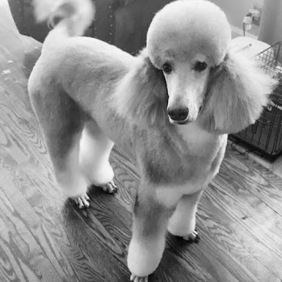 Dog Gone Grooming LLC | Nashville, TN