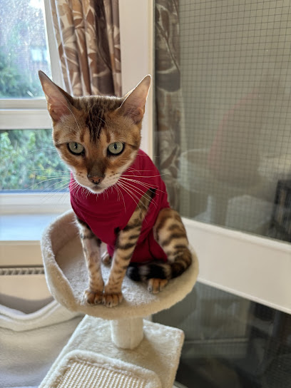 Vets for Pets - Bristol Emersons Green