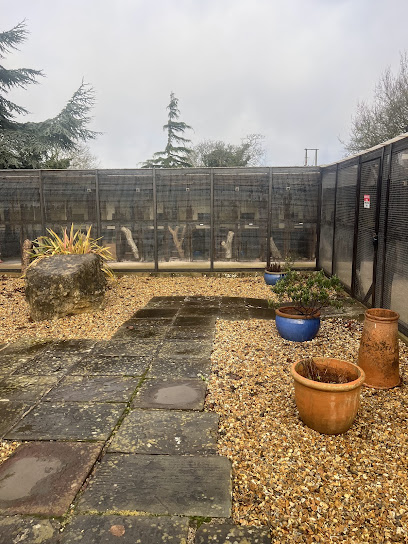 New Passage Cat Kennels