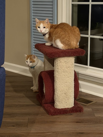 Middle TN Pet Care & Training