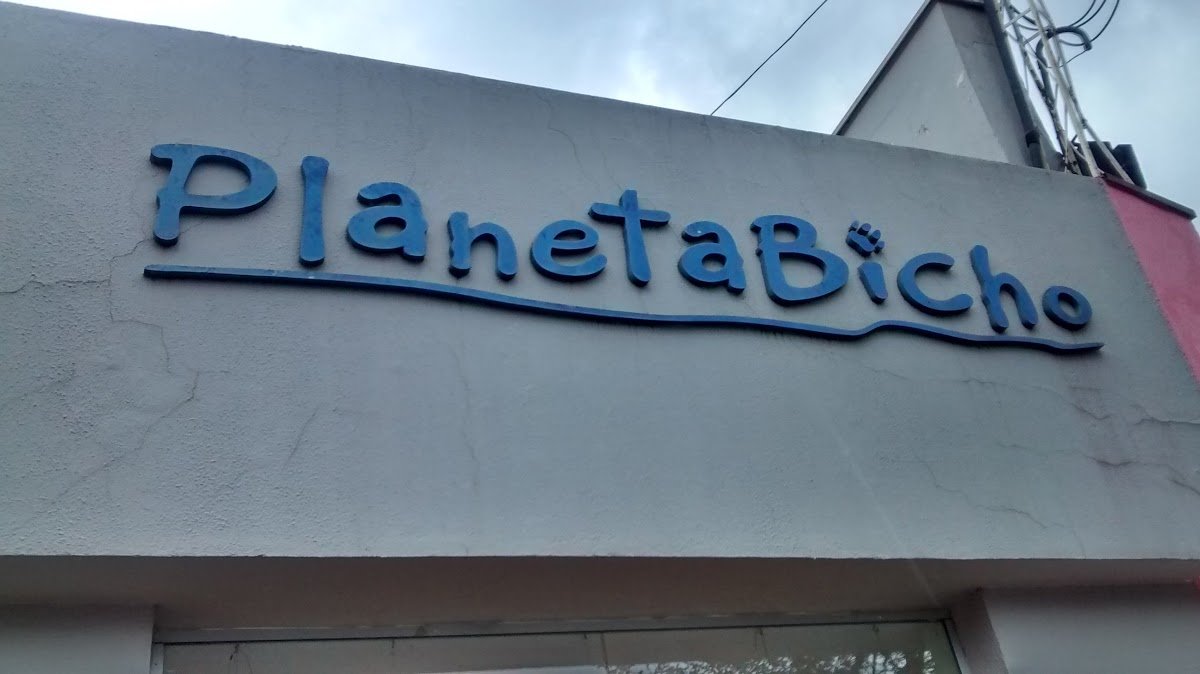 Planeta Bichos