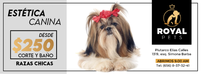 Royal Pets Veterinaria