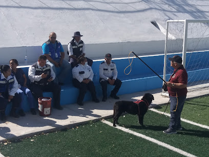 Escuela de entrenamiento canino seg-a